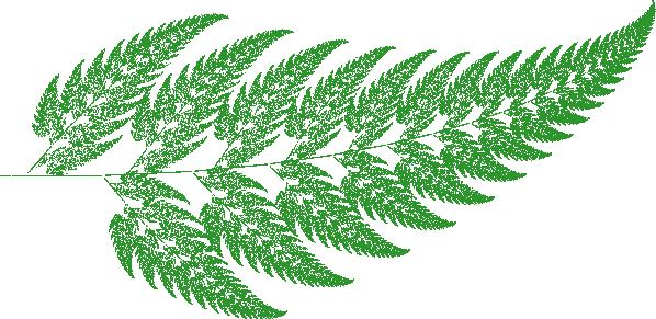 fractal fern leaf