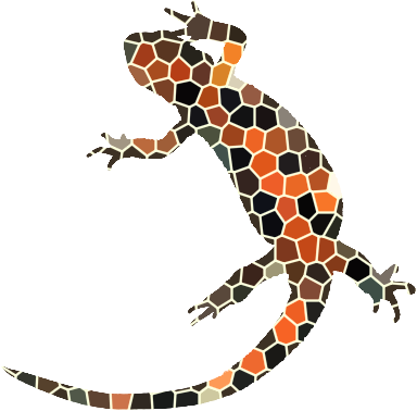 newtfire DH projects mosaic firebelly logo reversed