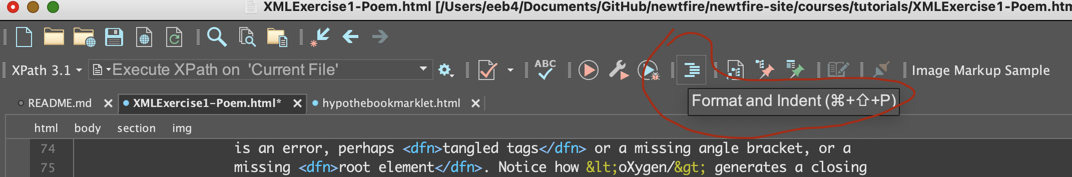 the oXygen XML Editor's pretty-print button
