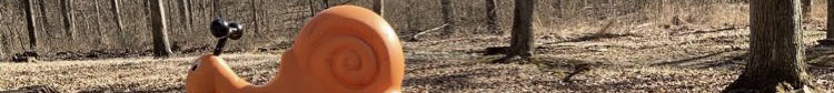 page banner of a large orange plastic snail in the woods during autumn